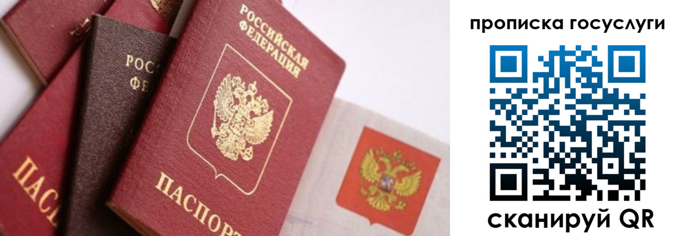 прописка законно в Кимовске